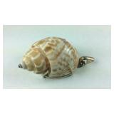 Shell pendant