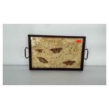 Serving tray with butterflies under display