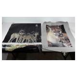 Wildlife posters, mother mountain lion 24" × 32"