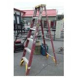 Werner 6ft Fiberglass Step Ladder, painter