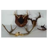 Deer Antlers: 2 sets are ready to hang plus 3