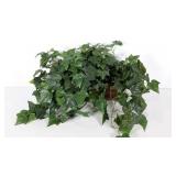 Everlasting plant in planter