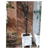White painted ball footed planter box with