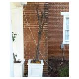 White footed ball footed planter box with