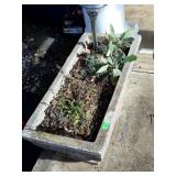 Concrete planter, with solar light