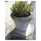 Concrete planter urn style
