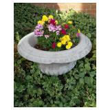 Large concrete urn style planter.