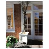 Ball footed planter box with artificial tree