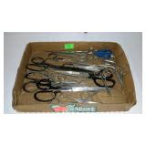 Flat with scissors
