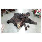 Bear skin rug - large! brown bear, has unattached