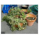 Group of four teracotta flower pots