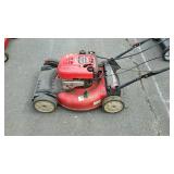 Troy-Bilt Self-Propelled lawn mower, Briggs &