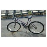 Magna all-terrain bicycle 15-speed with Zanzibar