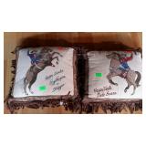 Roy Rogers And Dale accent throw type pillows