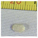 Loose Opal Aprox. .43 CT