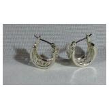 Hinged Ear wire White Metal Earrings