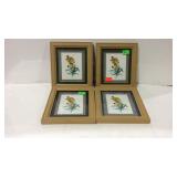 Set of 4 wall framed floral pictures, 8 x 9"