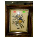 Print - bird scene in nice deep well frame -