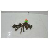 Ring of 19 skeleton keys. Rusty but usable.