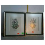 Pair of botanical prints by Anne Ophelia Dowden,