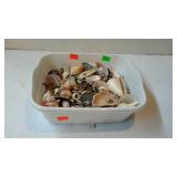 White tub of sea shells
