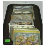 Stereoptic view cards lot