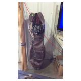 Golf clubs with bag
