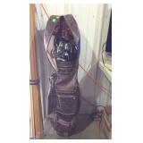 Golf clubs with bag