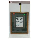 Poultry picture, framed with a very nice matting