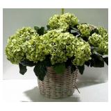 Large wicker floor basket floral arrangement with