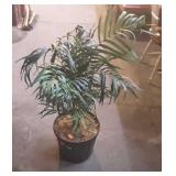 Smaller artificial plant measures 32 inches tall