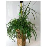 Home decor - artificial fern in stone like planter