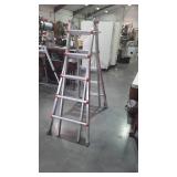 Little giants ladder system