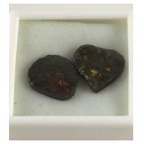 Genuine Canadian Ammolite 2 Pieces Gemstones