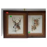 Deer prints, pair of, framed - 17 x 20