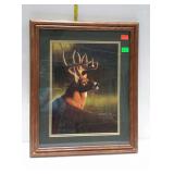 8-point buck print, oak framed, double matted -