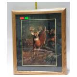 12-point buck print, oak framed, double matted -
