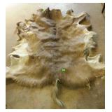 Deer skin hide