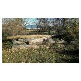 Large group lot of firewood, now pay attention