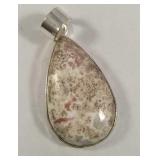 Arizona petrified wood jasper 925 Pendant
