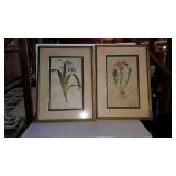 Two framed prints of flowers 21 by 29