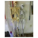 2 Skeltons