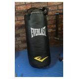 Everlast Punching Bag