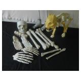 Bunch of Bones