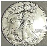 US 2024 Silver Eagle