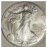 US 2024 Silver Eagle