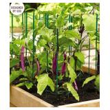 3pc Pepper and Eggplant Ladders