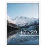 17x22in Picture Frame, Wall Mount