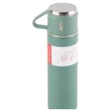 Stainless Steel Insulated Bottle with Handle
