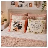 2ct Gilmore Girls Cloud Pillow Set 20x26in